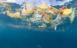 WWF Plastic soep