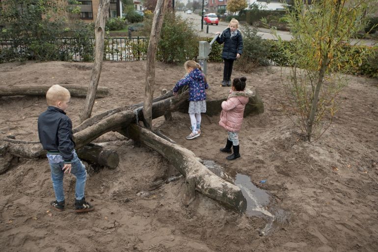 Groen schoolplein