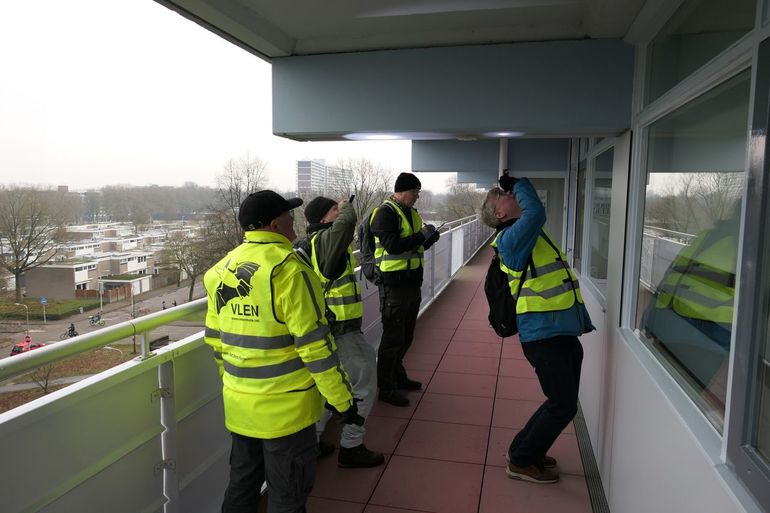 Vrijwilligers zoeken naar overwinterende dwergvleermuizen in het kader van het NEM wintertellingen vleermuizen