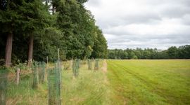 Landgoed Den Alerdinck