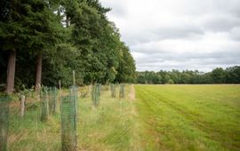 Provincie Overijssel Landgoed Den Alerdinck