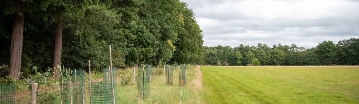 Landgoed Den Alerdinck