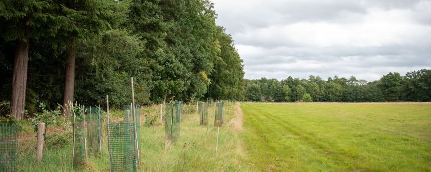 Landgoed Den Alerdinck