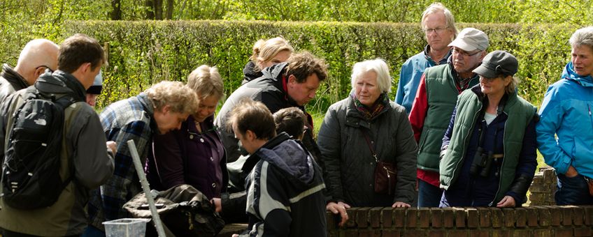 Deelenemers aan de 1000-soortendag Amersfoort