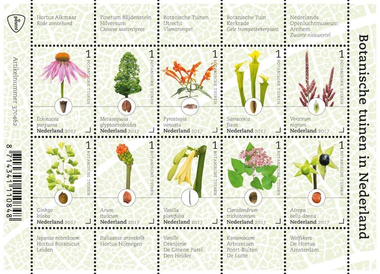 In 2017 verscheen een postzegelvel om de samenwerking van de Nederlandse botanische tuinen te vieren, met onder andere de Italiaanse aronskelk