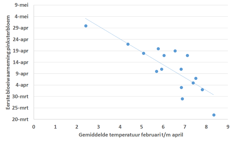 Relatie tussen de gemiddelde temperatuur in de maanden februari tot en met april, en de eerste bloeiwaarneming van de pinksterbloem