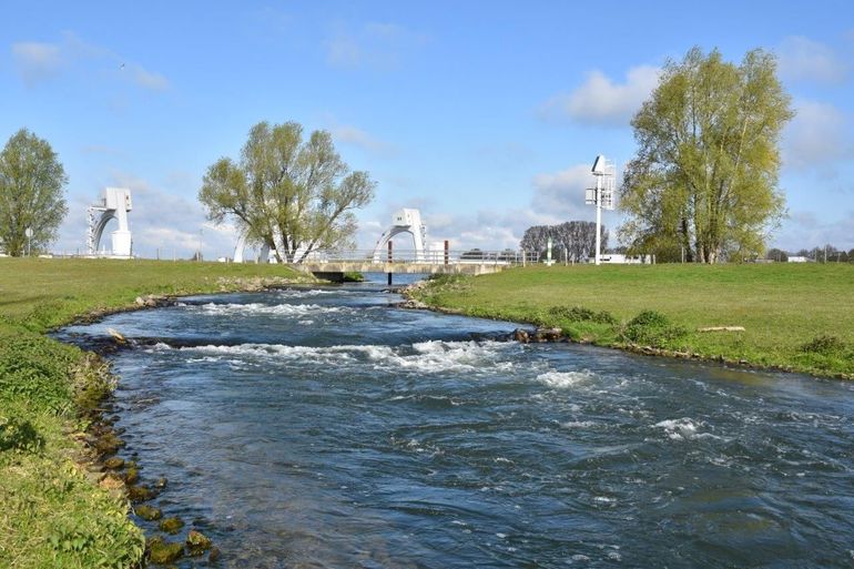 Vispassage bij Maurik in de Nederrijn