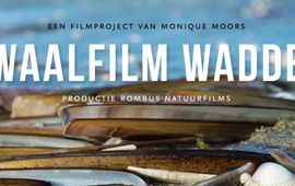 Dwaalfilm Dwaalfilm wadden lead