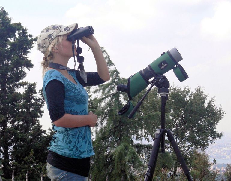 Kijken naar vogeltrek bij de Bosporus, Turkije