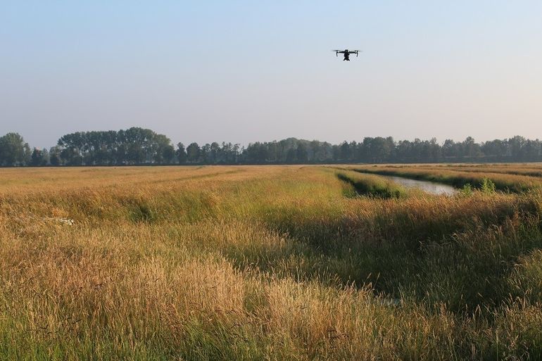 Vrijwilligers helpen het collectief om het beter te doen. Zo gaan ze met een drone het veld in voordat een boer wil maaien, om te kijken of alle kuikens echt uitgevlogen zijn