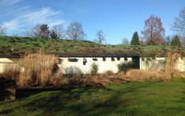 Het gebouw van Museum Klok en Peel met een groen dak en nestkasten
