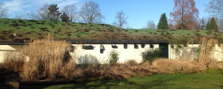 Het gebouw van Museum Klok en Peel met een groen dak en nestkasten