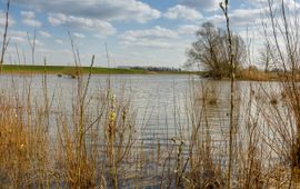 Oude RIjnstrang Gelderse Waard