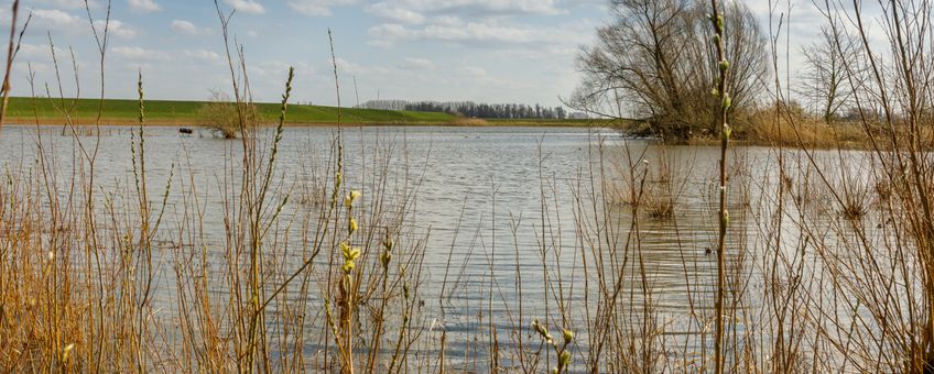 Oude RIjnstrang Gelderse Waard