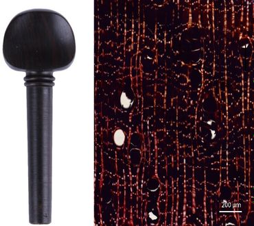 Violin tuning peg made from Diospyros melanoxylon from India and Sri Lanka (left) with corresponding wood anatomical cellular pattern based on a cross section (right)