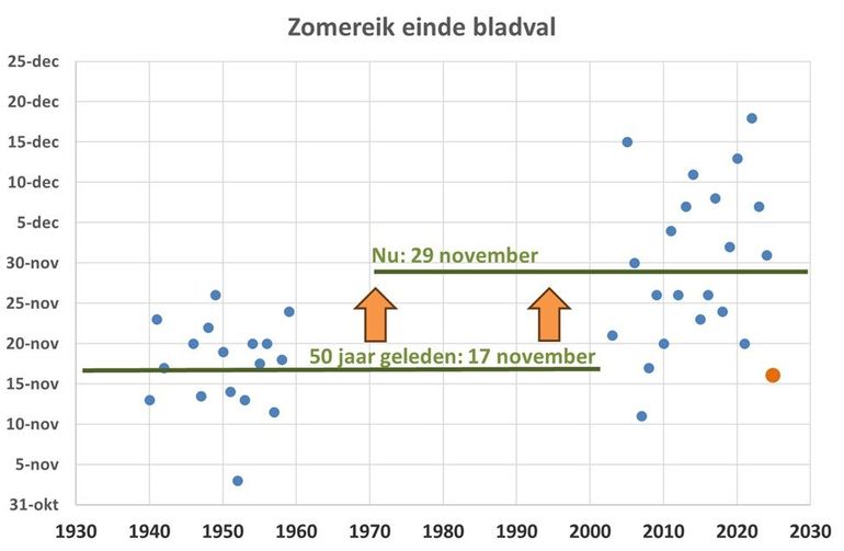 Figuur 2: Jaarlijks het moment waarop gemiddeld de eerste eiken al hun blad hebben verloren in de jaren 1940 tot en met 1959 en van 2003 tot en met 2025. 2025 (oranje punt) is nog een voorlopige schatting