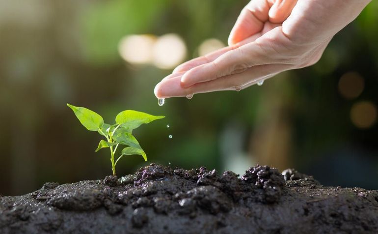 Zorg goed voor je bodem, want die bepaalt de conditie van je planten