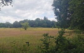 Grasland in de bosrand bij Natuurbegraafplaats Landgoed Mookerheide