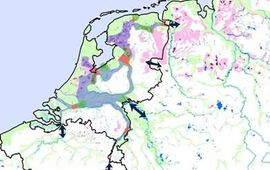 Alterra Kaart_moeras