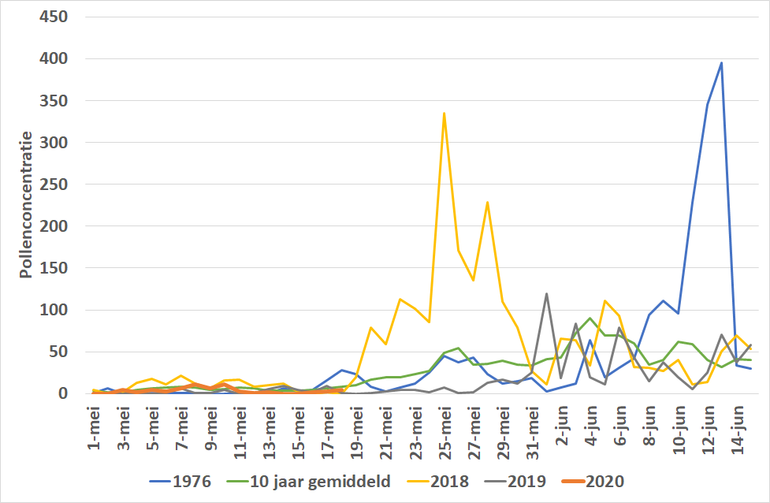 Het verloop van de dagelijkse graspollenconcentraties in het recorddroge jaar 1976, de droge jaren 2018 en 2019 en het huidige jaar 2020 vanaf mei tot half juni 