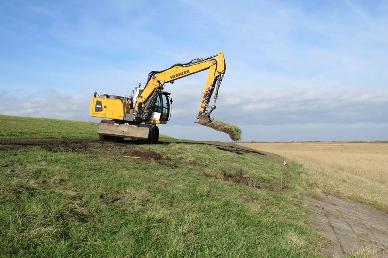 Transplantatie van zoden naar een proefvak. Onderaan de dijk zijn grijze stenen zichtbaar, overgroeid met gras. Voor de dijk een voorland met (bruine) rietplanten