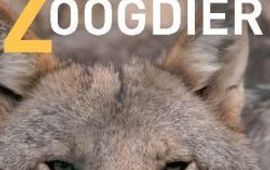 Zoogdiervereniging voorkant Zoogdier met wolf