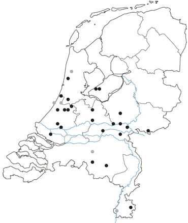 Huidige buitenpopulaties (zwarte stippen) en binnenmeldingen zonder (?) populatie (grijze stippen)