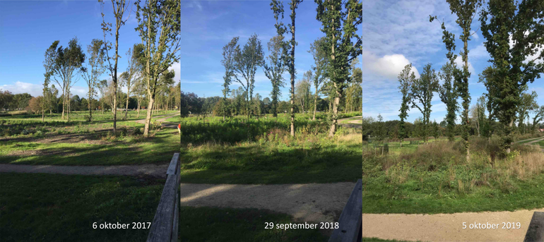 Herontwikkeling Verzetsbos Almere