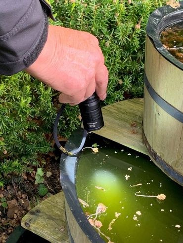 Inspecteurs van de NVWA controleren plekken met stilstaand water op de aanwezigheid van de Aziatische tijgermug