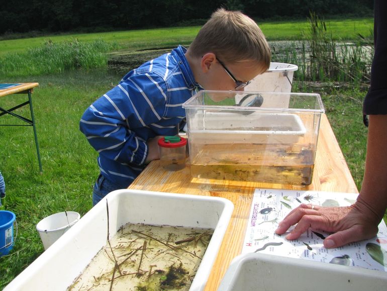 In Aalten leerden basisschoolleerlingen meer over waterdiertjes