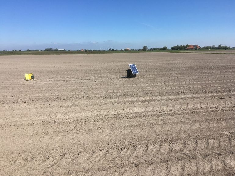 Camera op maisakker in het vroege voorjaar 