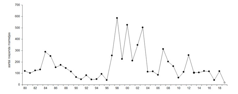 Landelijke aantallen kwartelkoningen sinds 1980. Tot het jaar 2000 betreft het vooral meldingen uit het BSP-project en vanaf 2000 gaat het om landelijke, gecoördineerde tellingen. Het punt uit 2019 is voorlopig