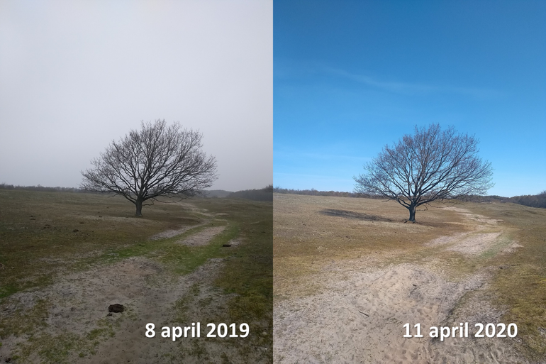 Natuurgebied in Vrouwenpolder rond 8 april 2019 en 2020