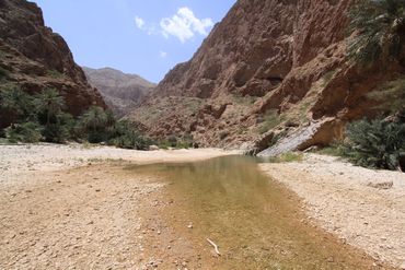 In grote delen van het Midden-Oosten en Centraal-Azië is water van nature schaars. Klimaatverandering kan daardoor al snel leiden tot het verdwijnen van deze biotoop