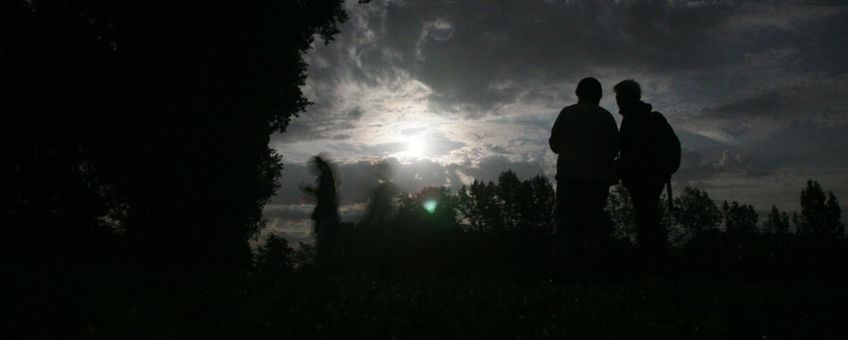 Excursie tijdens de Nacht van de Vleermuis