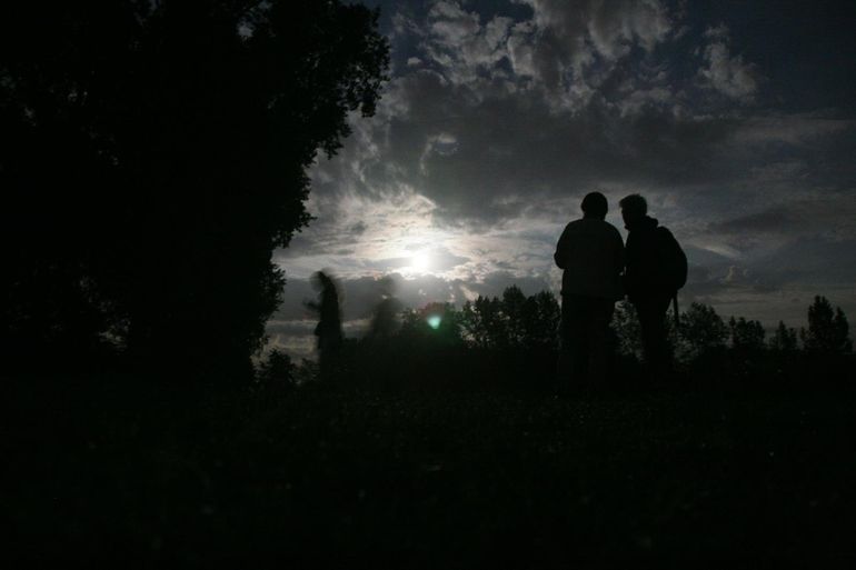 Vleermuisexcursie tijdens de Nacht van de Vleermuis