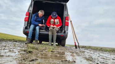 Wortels tellen in de winter