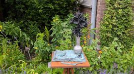 Monument voor Hugo de Vries gemaakt door Gijs Assman