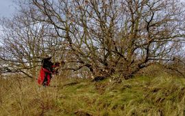 Kars Veling zoeken eitjes eikenpage - primair