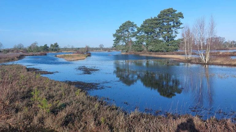 Slenken in het Twentse natuurgebied Punthuizen