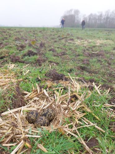 Johan en Gerrit Jan doen een controle op het land