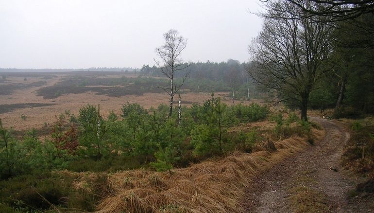 De Veluwe is het grootste natuurgebied op land van Nederland