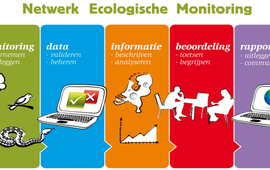 Netwerk Ecologische Monitoring