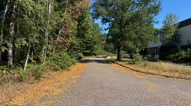 De natuur laat nu al tekenen van herfst zien doordat bomen het blad laten vallen