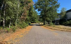 De natuur laat nu al tekenen van herfst zien doordat bomen het blad laten vallen