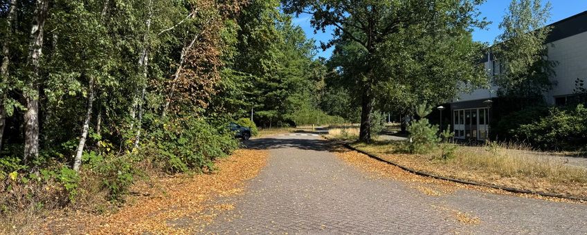 De natuur laat nu al tekenen van herfst zien doordat bomen het blad laten vallen