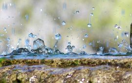 Sue Rickhuss Water in de stad Pixabay