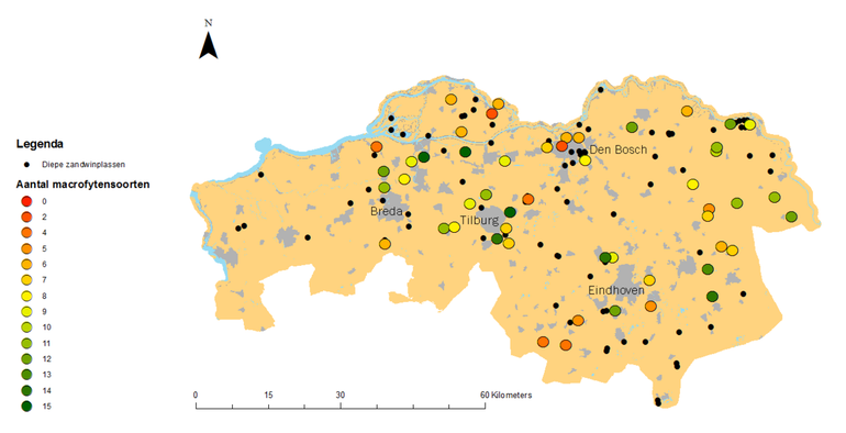 Diepe zandwinplassen in Noord-Brabant (zwarte punten) en de soortenrijkdom aan onderwaterplanten in de voor het 'Diepe plassen-project' bezochte plassen (oplopend van rood tot groen). Het aantal onderwaterplanten varieert, maar is verrassend vaak hoog