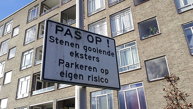 Bord 'Pas op! Stenen gooiende eksters'