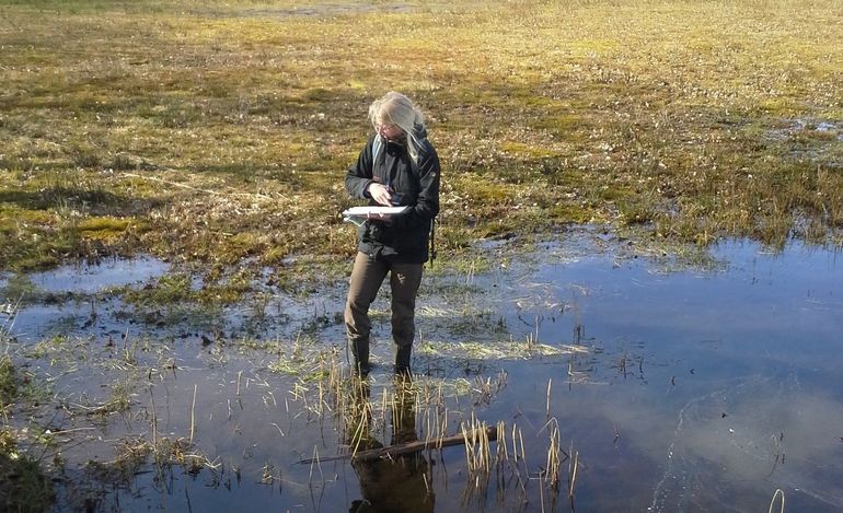 Landschapsecoloog Ariët Kieskamp in (een nat gedeelte van) het Wisselse Veen